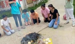 杞县叶婷爆料事件最新,揭开校园霸凌背后的真相